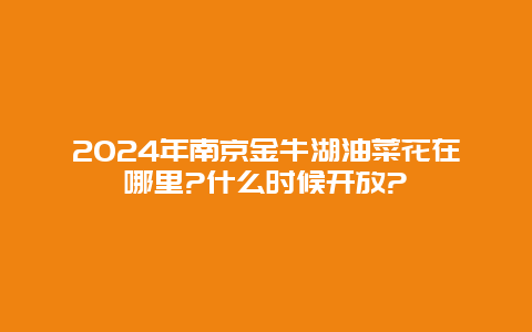 2024年南京金牛湖油菜花在哪里?什么时候开放?