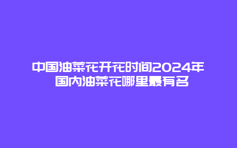 中国油菜花开花时间2024年 国内油菜花哪里最有名