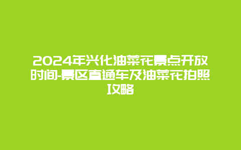 2024年兴化油菜花景点开放时间-景区直通车及油菜花拍照攻略