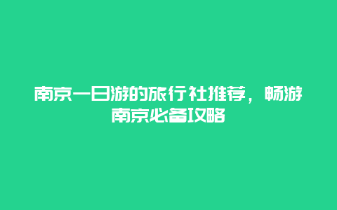 南京一日游的旅行社推荐，畅游南京必备攻略