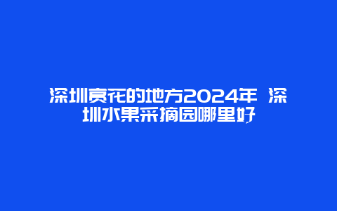 深圳赏花的地方2024年 深圳水果采摘园哪里好