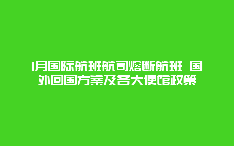 1月国际航班航司熔断航班 国外回国方案及各大使馆政策