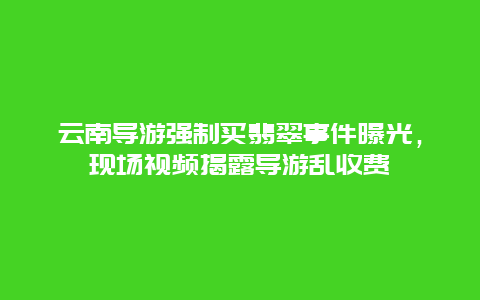 云南导游强制买翡翠事件曝光，现场视频揭露导游乱收费