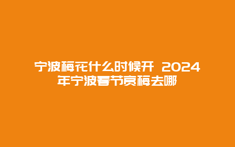 宁波梅花什么时候开 2024年宁波春节赏梅去哪