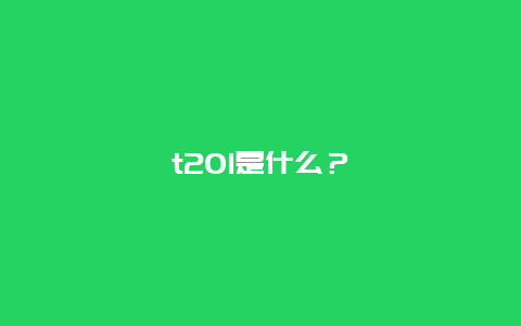 t201是什么？