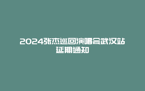 2024张杰巡回演唱会武汉站延期通知