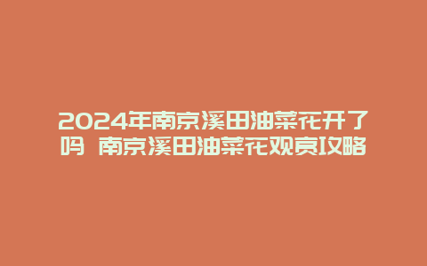 2024年南京溪田油菜花开了吗 南京溪田油菜花观赏攻略