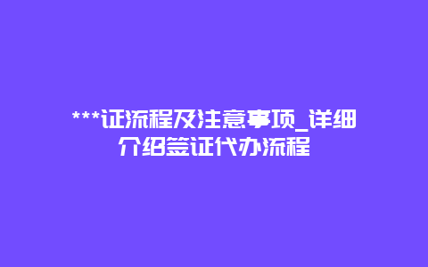 ***证流程及注意事项_详细介绍签证代办流程