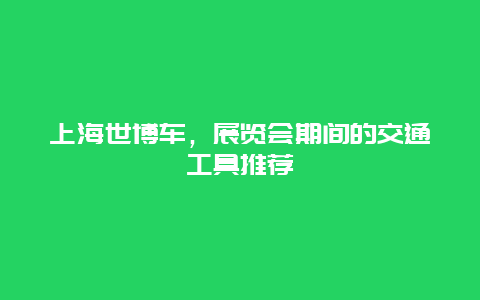 上海世博车，展览会期间的交通工具推荐