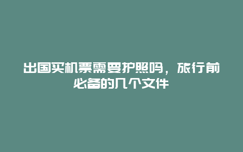 出国买机票需要护照吗，旅行前必备的几个文件