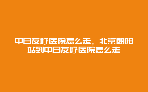 中日友好医院怎么走，北京朝阳站到中日友好医院怎么走