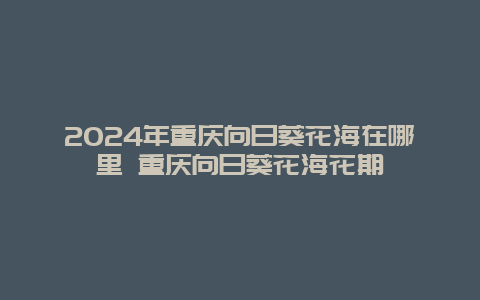 2024年重庆向日葵花海在哪里 重庆向日葵花海花期