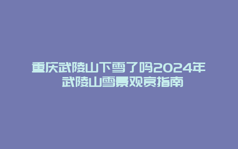 重庆武陵山下雪了吗2024年 武陵山雪景观赏指南