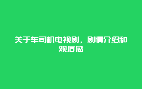 关于车司机电视剧，剧情介绍和观后感