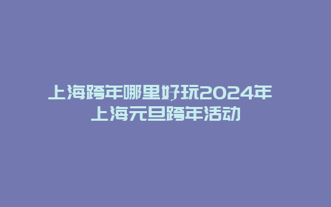 上海跨年哪里好玩2024年 上海元旦跨年活动