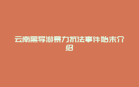 云南黑导游暴力抗法事件始末介绍