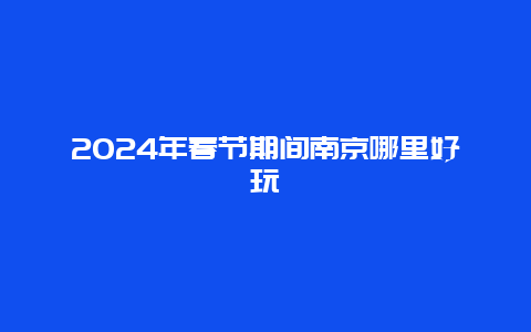 2024年春节期间南京哪里好玩