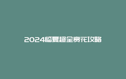 2024临夏超全赏花攻略