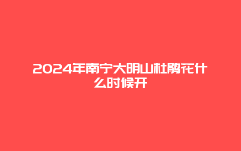 2024年南宁大明山杜鹃花什么时候开