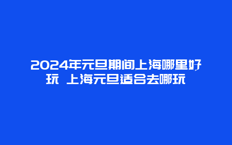 2024年元旦期间上海哪里好玩 上海元旦适合去哪玩