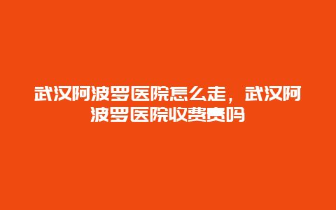 武汉阿波罗医院怎么走，武汉阿波罗医院收费贵吗