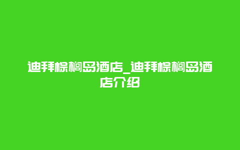 迪拜棕榈岛酒店_迪拜棕榈岛酒店介绍