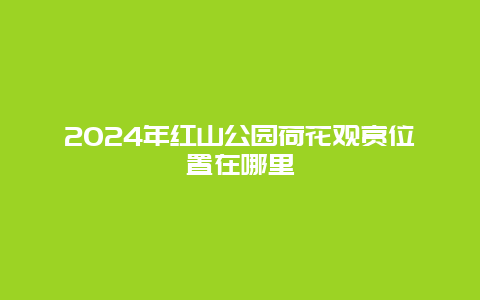 2024年红山公园荷花观赏位置在哪里