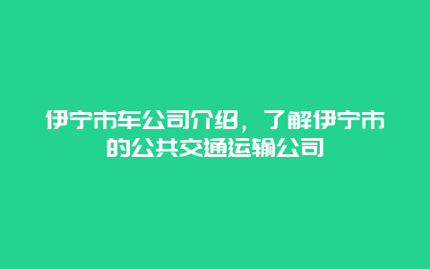 伊宁市车公司介绍，了解伊宁市的公共交通运输公司