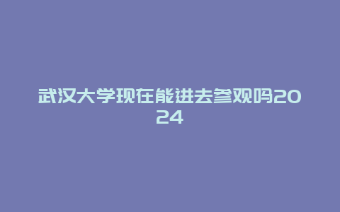 武汉大学现在能进去参观吗2024