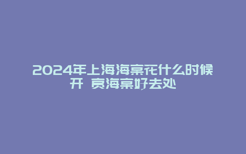 2024年上海海棠花什么时候开 赏海棠好去处