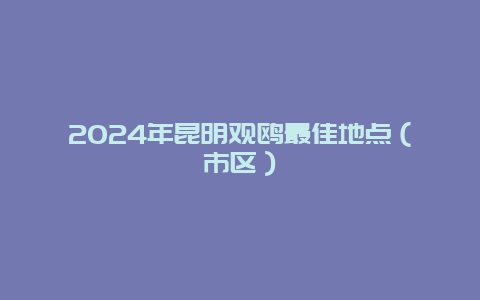 2024年昆明观鸥最佳地点（市区）