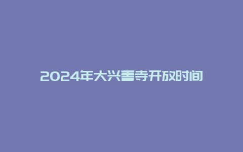 2024年大兴善寺开放时间