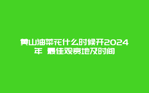 黄山油菜花什么时候开2024年 最佳观赏地及时间