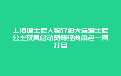 上海迪士尼人物介绍大全迪士尼公主玩具总动员等经典角色一网打尽