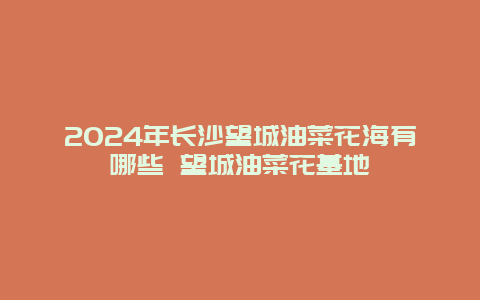 2024年长沙望城油菜花海有哪些 望城油菜花基地