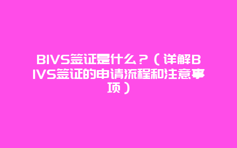 BIVS签证是什么？（详解BIVS签证的申请流程和注意事项）