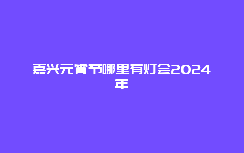 嘉兴元宵节哪里有灯会2024年