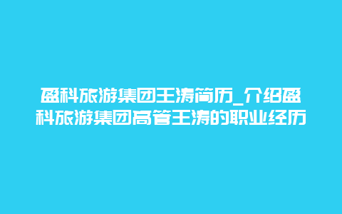 盈科旅游集团王涛简历_介绍盈科旅游集团高管王涛的职业经历