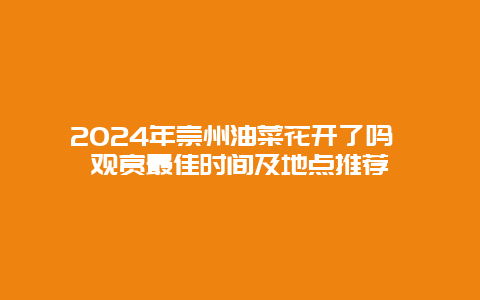 2024年崇州油菜花开了吗 观赏最佳时间及地点推荐