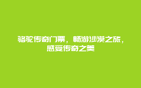 骆驼传奇门票，畅游沙漠之旅，感受传奇之美