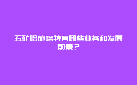 五矿哈施塔特有哪些业务和发展前景？