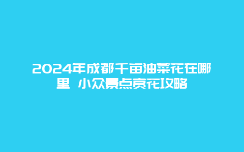 2024年成都千亩油菜花在哪里 小众景点赏花攻略