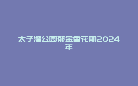 太子湾公园郁金香花期2024年