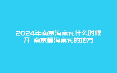 2024年南京海棠花什么时候开 南京看海棠花的地方