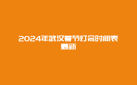 2024年武汉春节灯会时间表最新