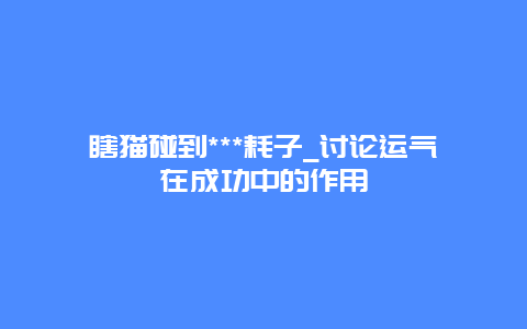 瞎猫碰到***耗子_讨论运气在成功中的作用