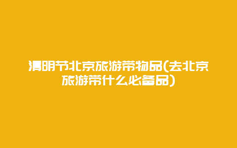 清明节北京旅游带物品(去北京旅游带什么必备品)