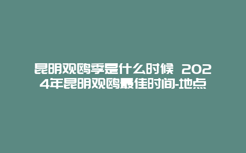 昆明观鸥季是什么时候 2024年昆明观鸥最佳时间-地点