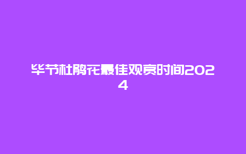 毕节杜鹃花最佳观赏时间2024