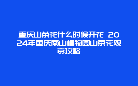 重庆山茶花什么时候开花 2024年重庆南山植物园山茶花观赏攻略